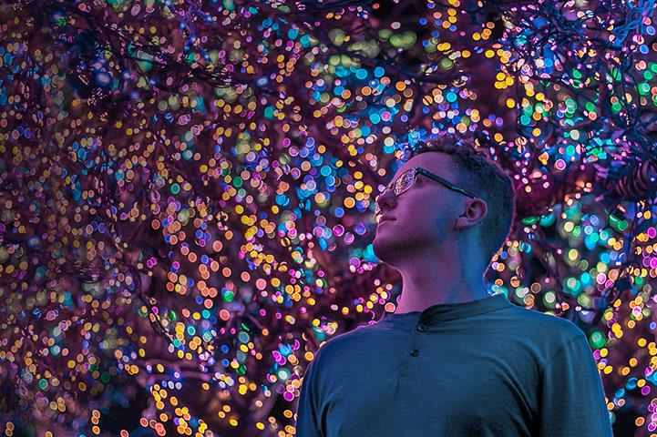 man standing in front of trees decorated with many lights