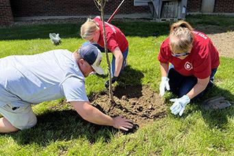 three people planting a tree