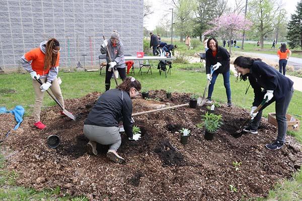 Volunteers digging holes