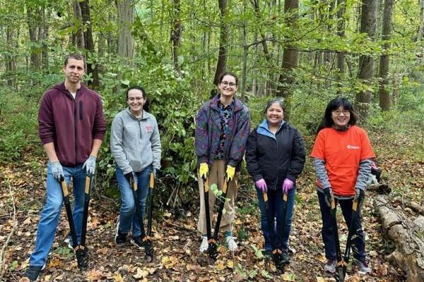 team cleaning up wooded area